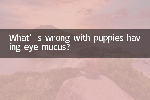 Cosa c'è che non va se i cuccioli hanno muco negli occhi?