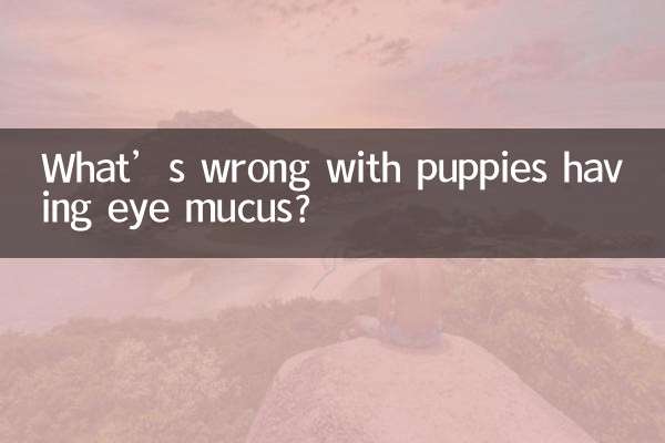Cosa c'è che non va se i cuccioli hanno muco negli occhi?