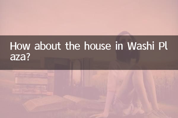 Que tal a casa no Washi Plaza?