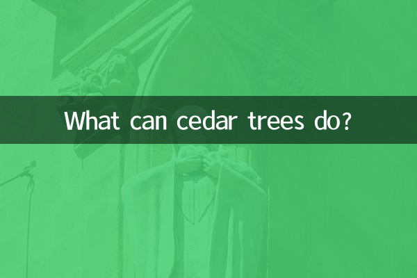 삼나무는 무엇을 할 수 있나요?