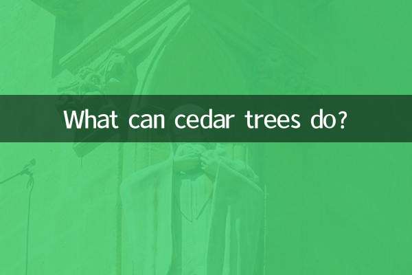 삼나무는 무엇을 할 수 있나요?