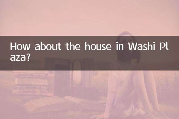 Que tal a casa no Washi Plaza?