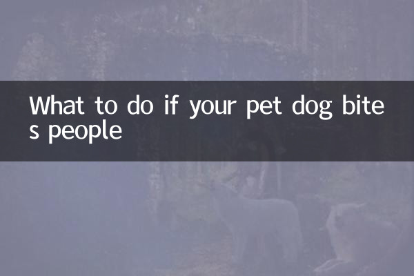 Cosa fare se il tuo cane morde le persone