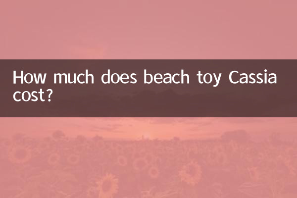 Quanto custa o brinquedo de praia Cassia?