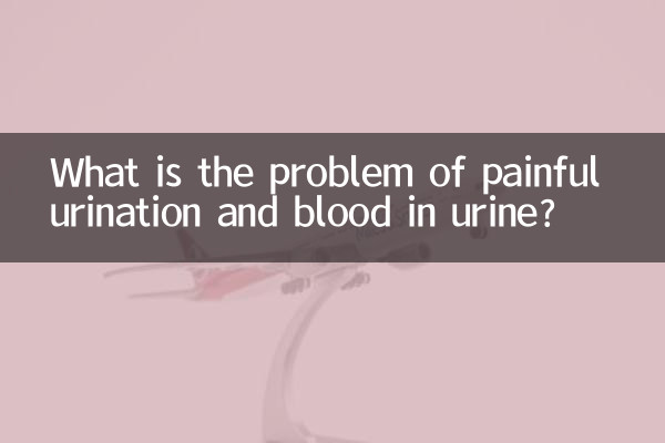 배뇨 시 통증이 있고 소변에 피가 섞여 나오는 문제는 무엇입니까?