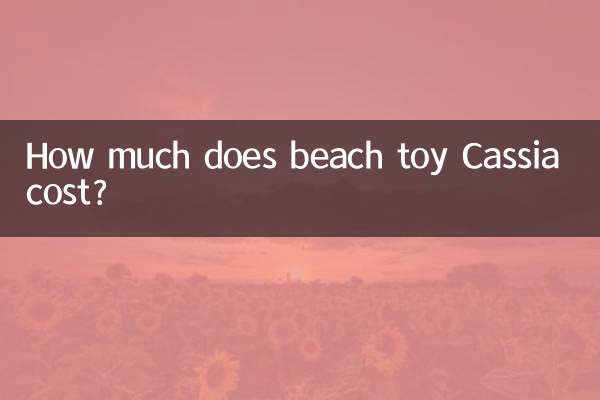 Quanto custa o brinquedo de praia Cassia?