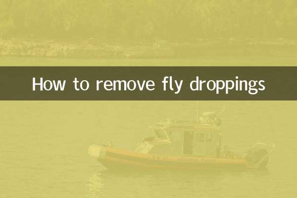 蠅子屎怎麼去除