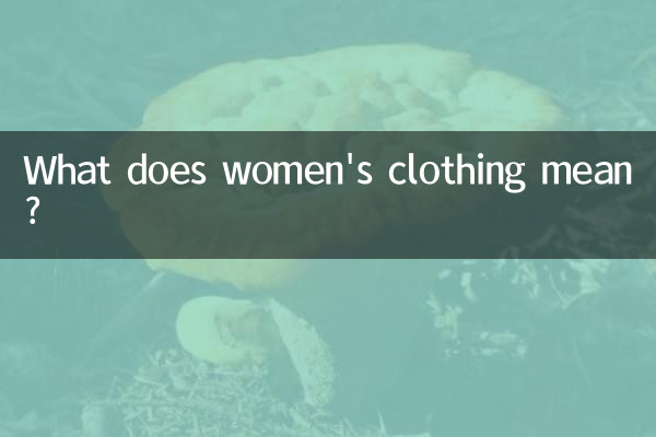 لباس زنانه یعنی چه؟
