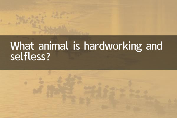 ما هو الحيوان المجتهد ونكران الذات؟