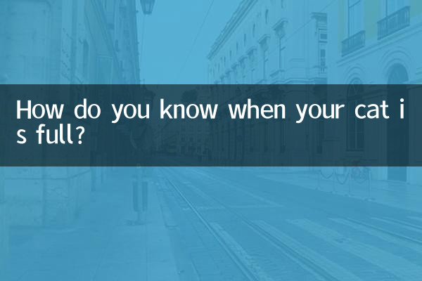 How do you know when your cat is full?