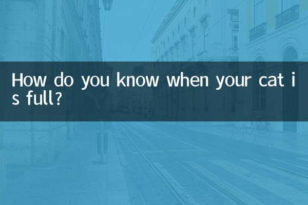 Como saber quando seu gato está cheio?