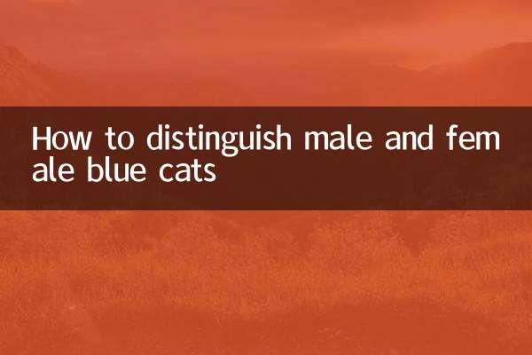 파란색 고양이 수컷과 암컷을 구별하는 방법