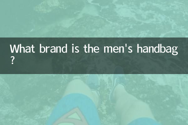 Какой марки мужская сумка?