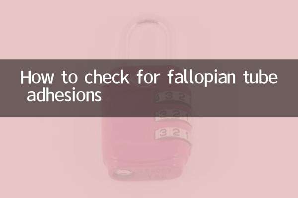 나팔관 유착을 확인하는 방법