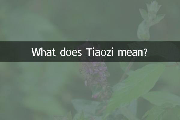 तियाओज़ी का मतलब क्या है?