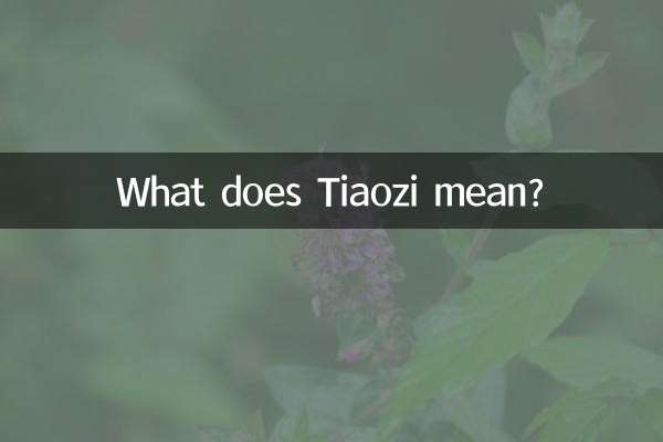 Tiaozi کا کیا مطلب ہے؟