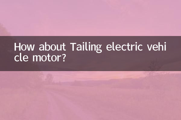How about Tailing electric vehicle motor?