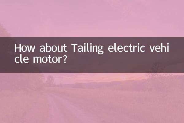 How about Tailing electric vehicle motor?
