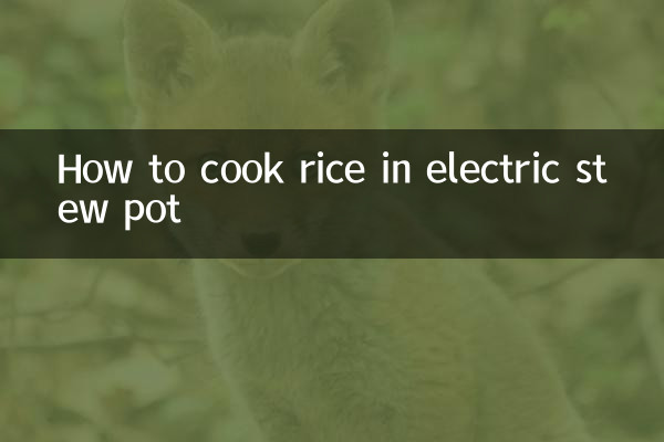 Comment faire cuire du riz dans le ragoût électrique