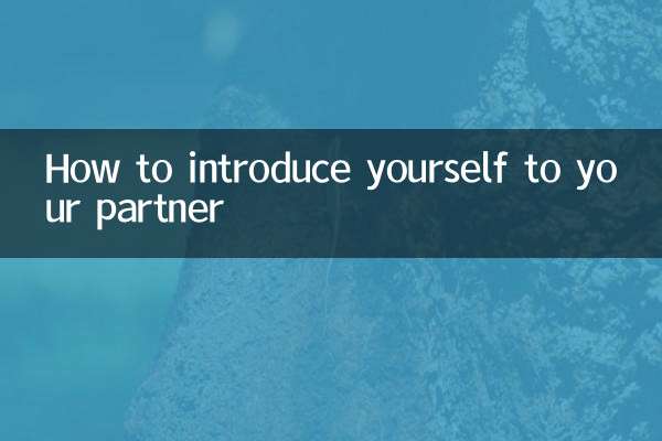 So stellen Sie sich Ihrem Partner vor