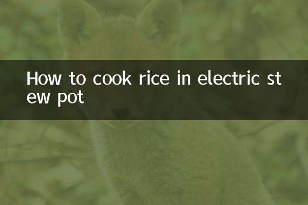 Comment faire cuire du riz dans le ragoût électrique