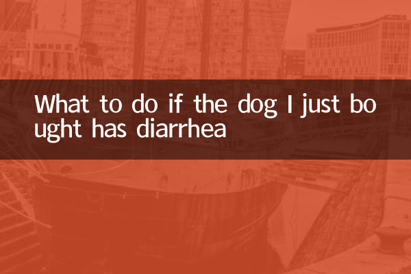 O que fazer se o cachorro que acabei de comprar tem diarréia