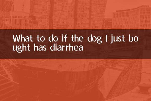 What to do if the dog I just bought has diarrhea