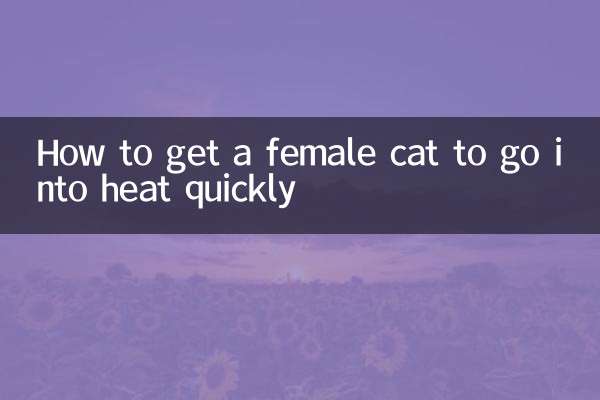 怎么让母猫快速发情