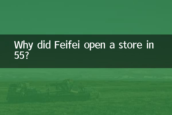Pourquoi Feifei a-t-il ouvert un magasin en 55 ?