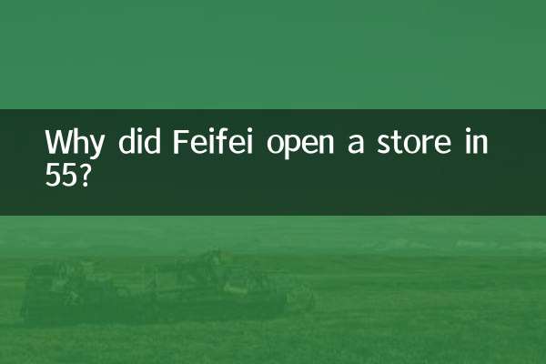 Warum eröffnete Feifei im Jahr 55 ein Geschäft?