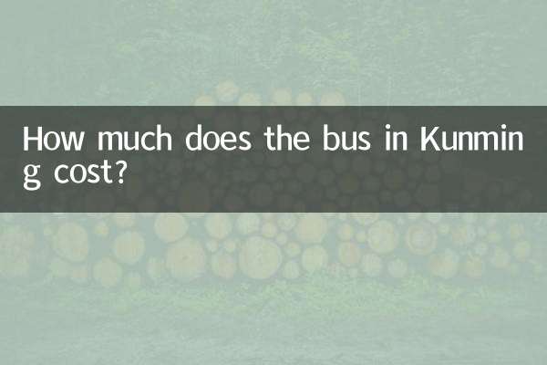هزینه اتوبوس در کونمینگ چقدر است؟