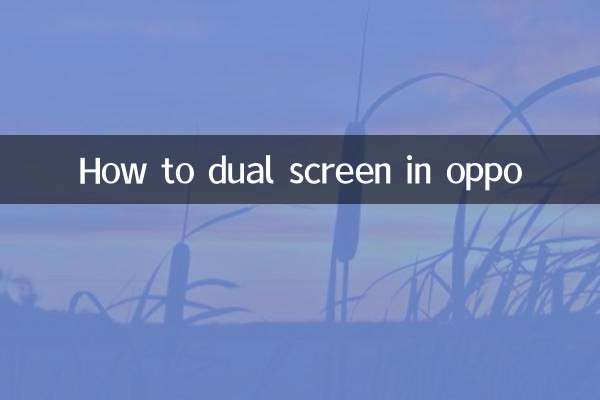 Oppo에서 듀얼스크린 사용하는 방법