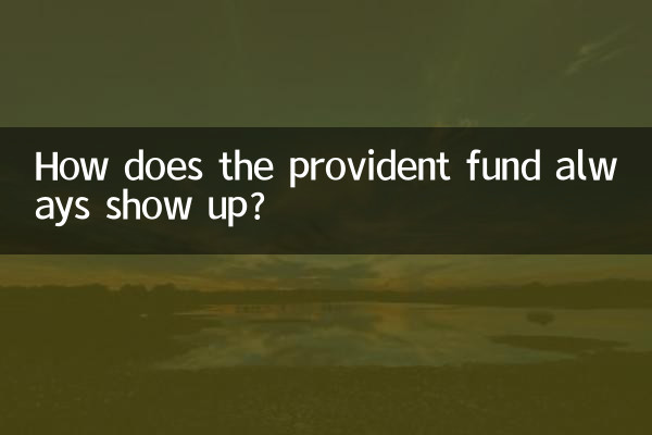 Wie wird die Unterstützungskasse immer angezeigt?