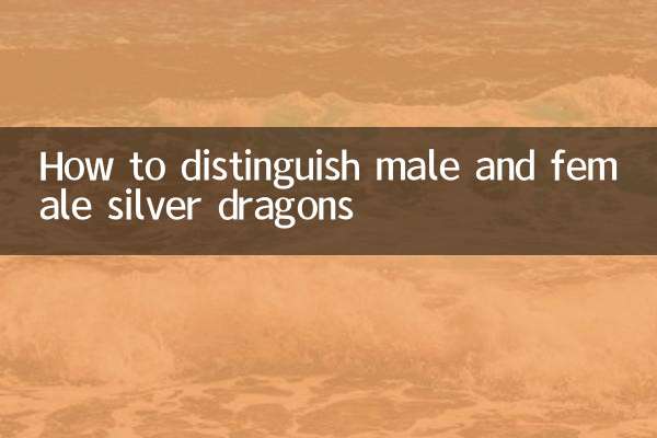 كيفية التمييز بين الذكور والإناث التنين الفضي