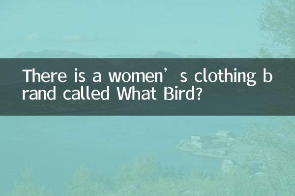 یک برند لباس زنانه به نام What Bird وجود دارد؟