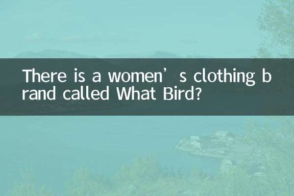 یک برند لباس زنانه به نام What Bird وجود دارد؟