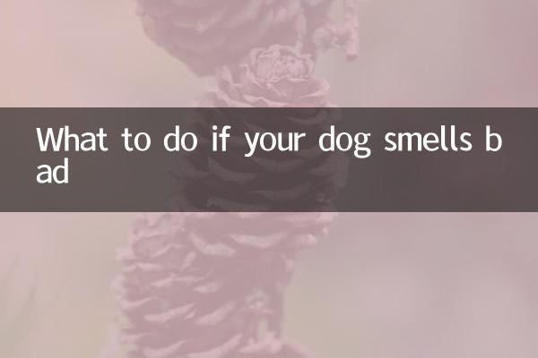 ماذا تفعل إذا كانت رائحة كلبك سيئة
