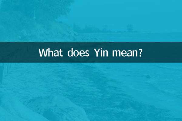 यिन का क्या मतलब है?