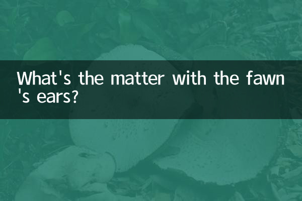 小鹿犬耳朵不立是怎么回事