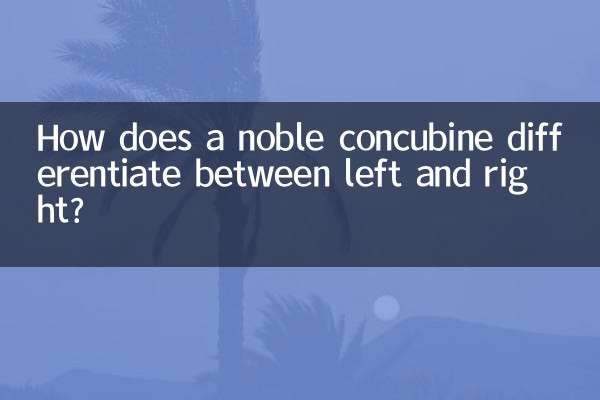 고귀한 첩은 왼쪽과 오른쪽을 어떻게 구별합니까?