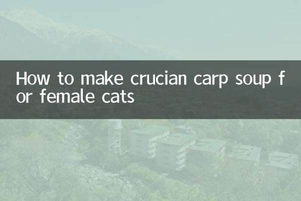 كيفية تحضير حساء مبروك الدوع لإناث القطط