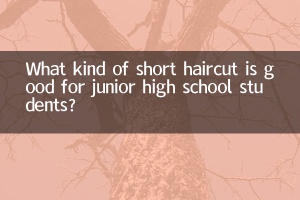 中学生にはどんなショートカットが良いのでしょうか?