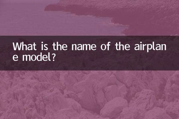 What is the name of the airplane model?