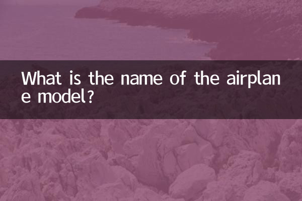 What is the name of the airplane model?