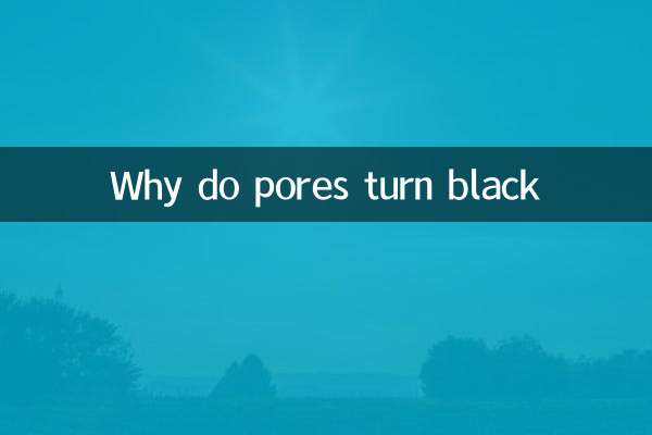 Por que os poros ficam pretos