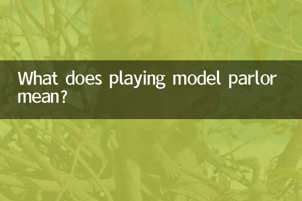 ¿Qué significa jugar al salón de modelos?