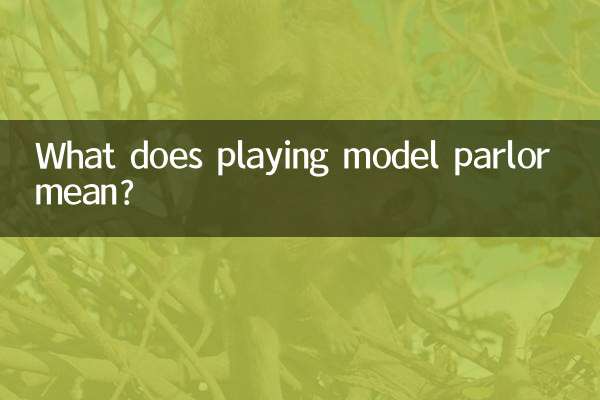 ¿Qué significa jugar al salón de modelos?