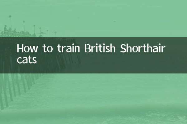 Как дрессировать британских короткошерстных кошек?
