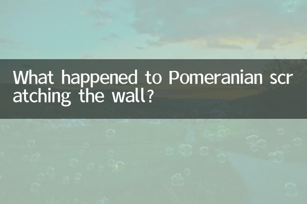 ¿Qué pasó con el pomerania que rascó la pared?