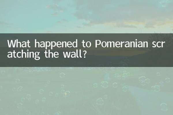 ¿Qué pasó con el pomerania que rascó la pared?
